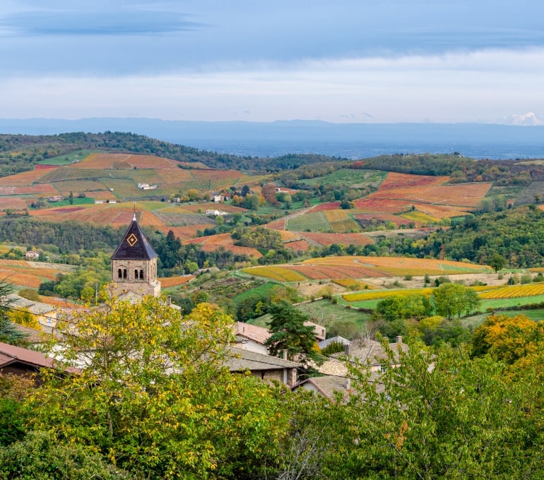 AdobeStock_4137627188-min